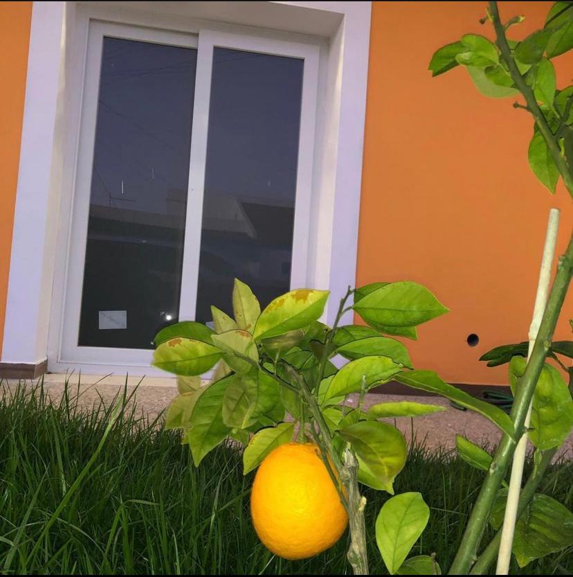 Orange Guest House サグレス エクステリア 写真